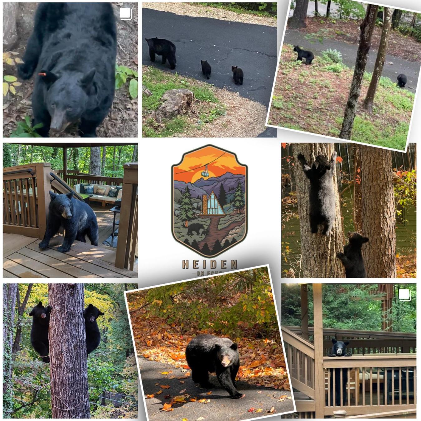 1Mile Downtown, Handicap Ramp, Hot Tub, Game Room Gatlinburg Eksteriør billede